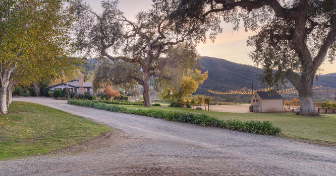 Joullian Vineyards by Manny Espinoza__65