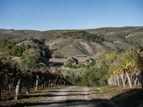 Joullian Vinyards by Mammy Espinoza16