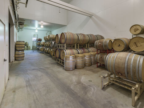 Joullian Vinyards by Mammy Espinoza29