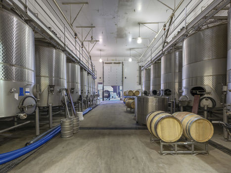 Joullian Vinyards by Mammy Espinoza33