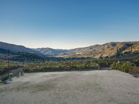 Joullian Vinyards by Mammy Espinoza40