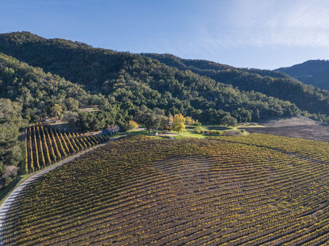 Joullian Vinyards by Mammy Espinoza49