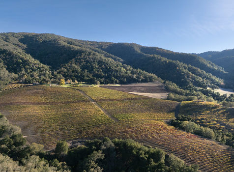 Joullian Vinyards by Mammy Espinoza50