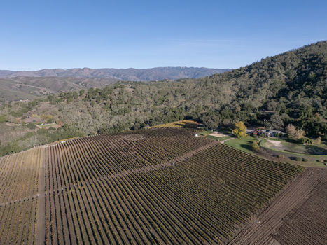 Joullian Vinyards by Mammy Espinoza56