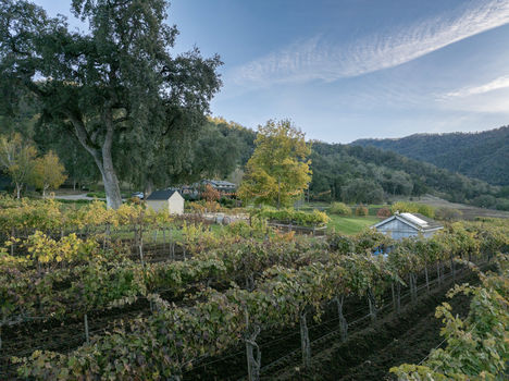 Joullian Vinyards by Mammy Espinoza62