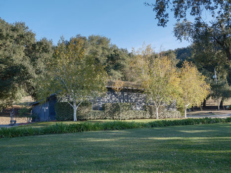 Joullian Vinyards by Mammy Espinoza8