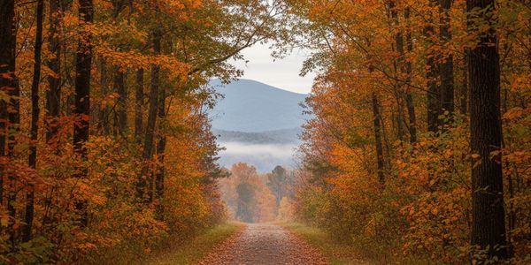 Living in Blacksburg, VA: The Creative Village of &hellip;