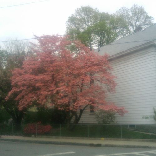 15A Parkside Drive: Street & Neighborhood Spotlight