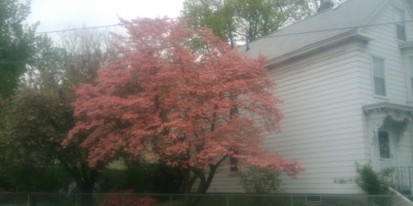 15A Parkside Drive: Street & Neighborhood Spotlight