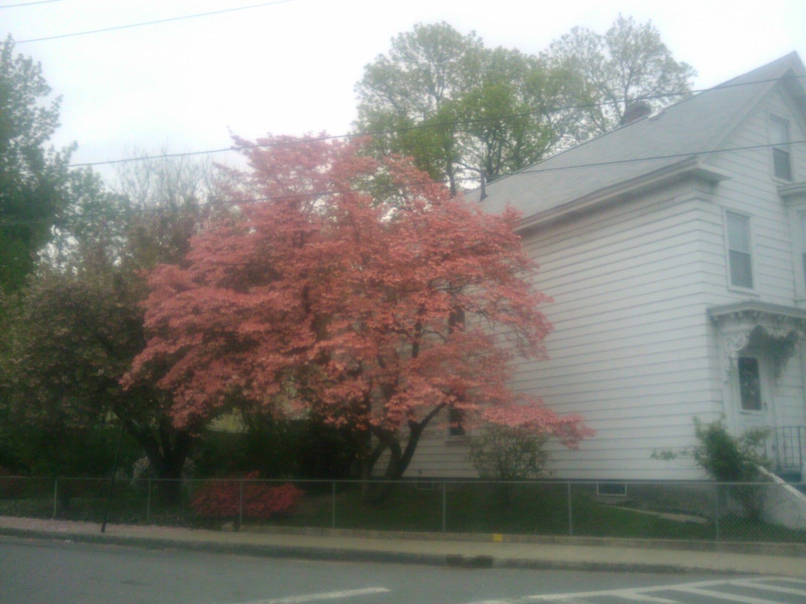 15a-parkside-drive-spotlight