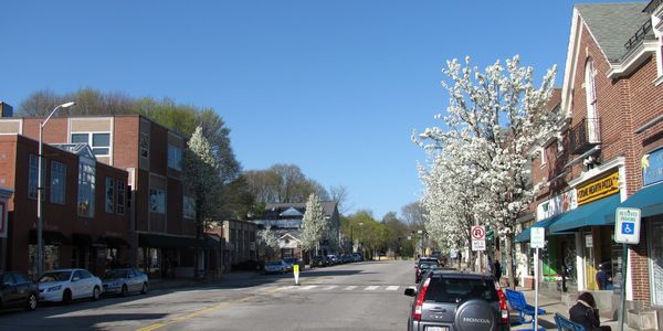 27 Gilmore Rd, Belmont: Street & Neighborhood Spotlight