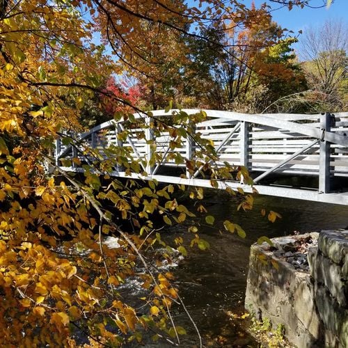 3 Burns Ct, Maynard MA: Street & Neighborhood Spotlight