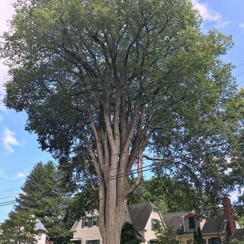 48 Abby Road, Plaistow: Street & Neighborhood Spotlight