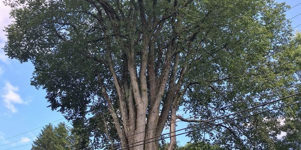 48 Abby Road, Plaistow: Street & Neighborhood Spotlight