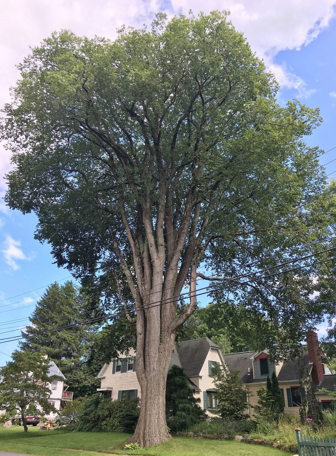 48-abby-road-plaistow-street-neighborhood-spotlight