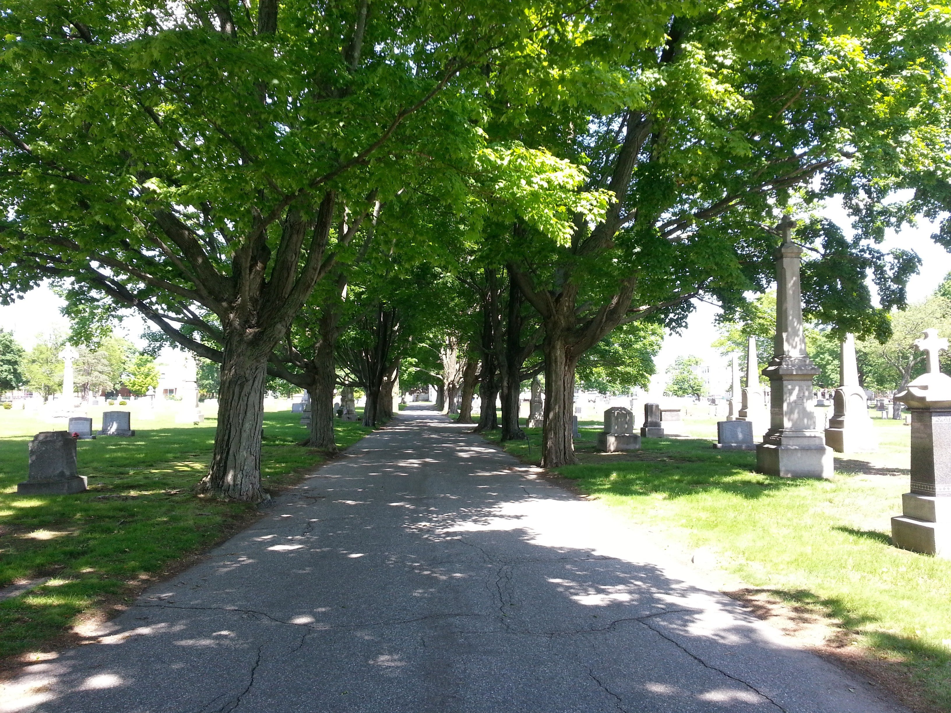 81-eugene-st-lowell-spotlight