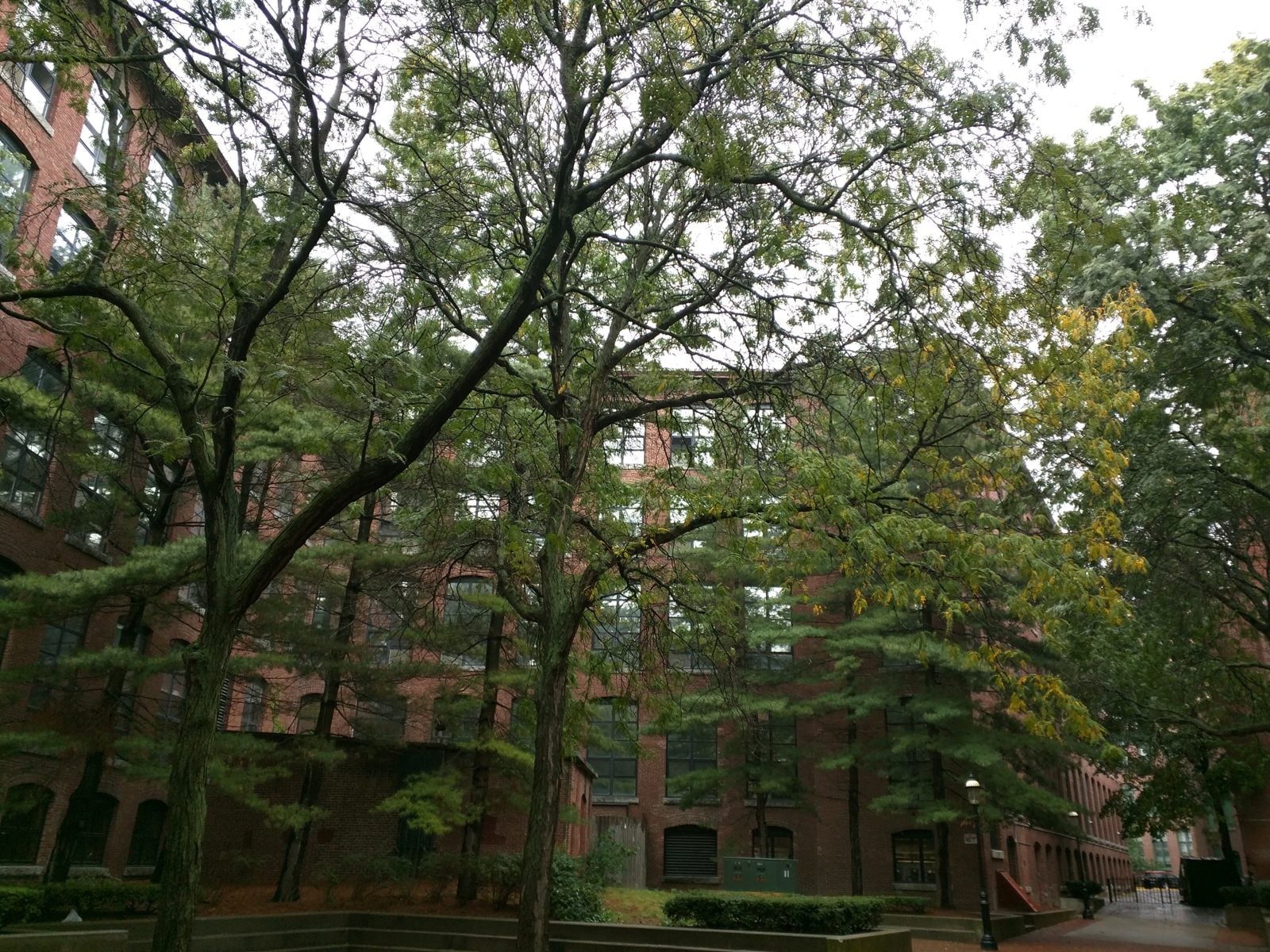 get-ready-for-spring-market-lowell-ma
