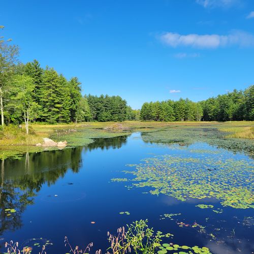 Hollis NH Real Estate & Living Guide