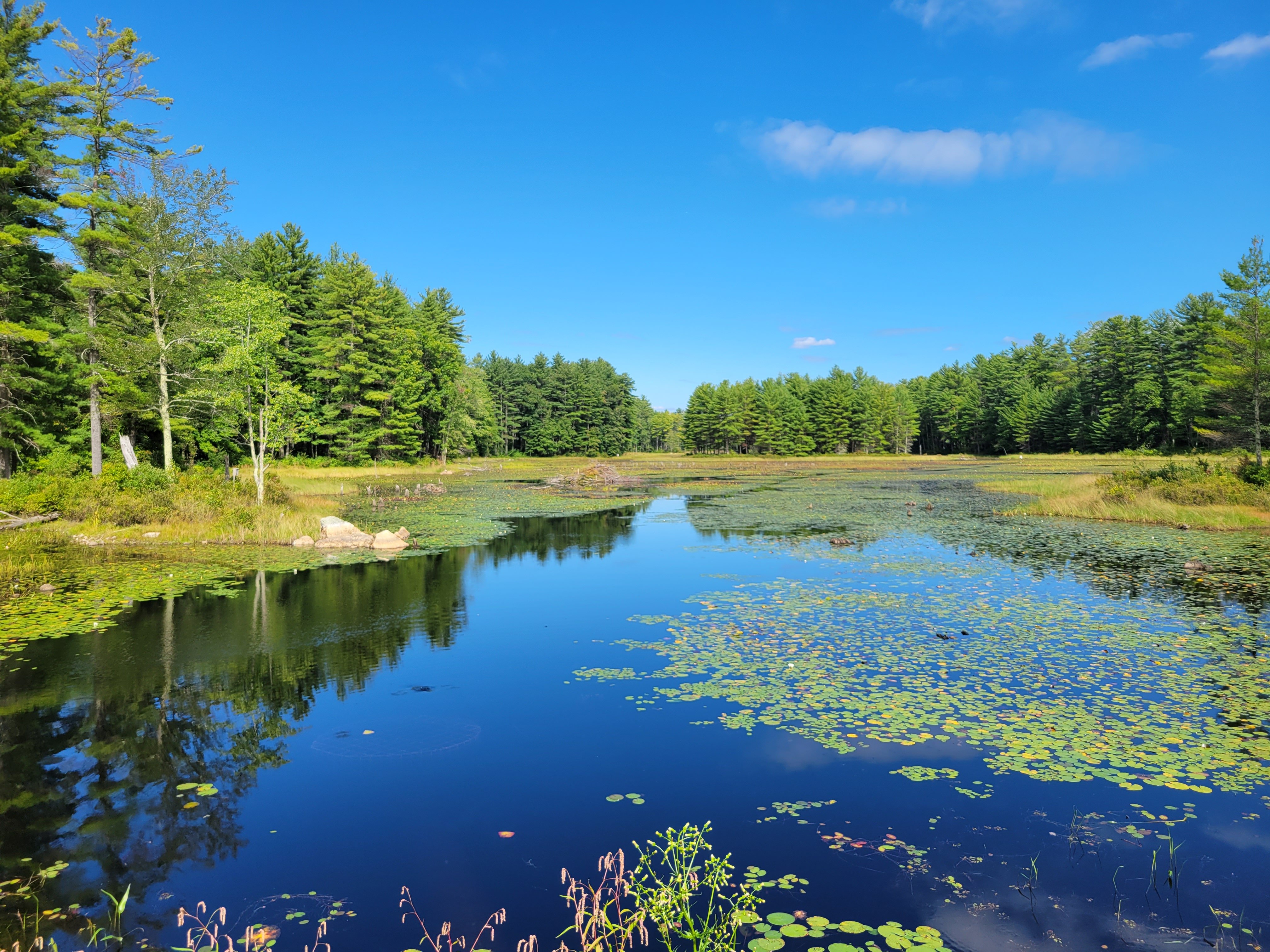 hollis-nh-real-estate-living-guide