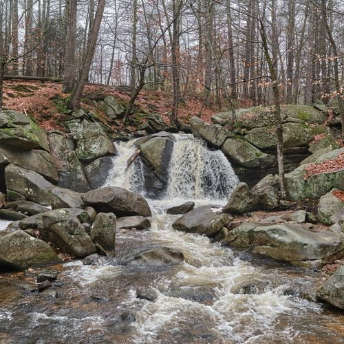 West Townsend, MA: Chris Doherty's Guide to Townsend's Country Edge