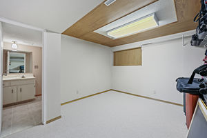 IMG (406)