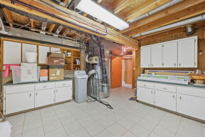 IMG (421)