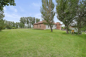IMG (531)