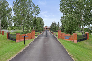 IMG (6)