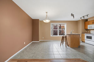 014-224 McKenzie Towne Link SE-9