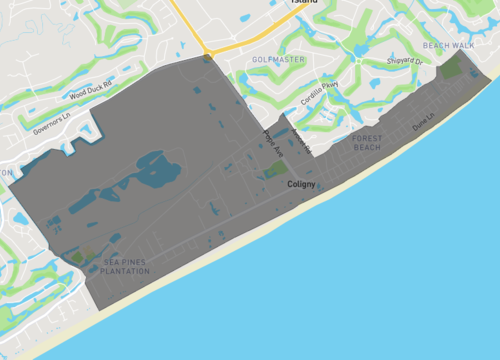 forest beach.png