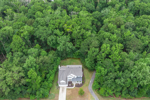 18-sapelo-island-lane6
