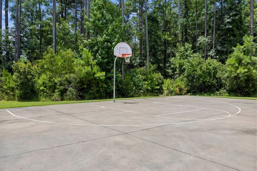 44_24_Sand_Live_Oaks-1