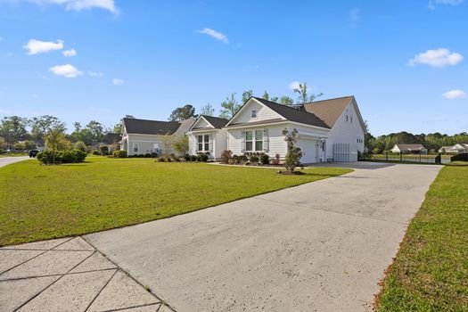 9-daffodil-farm-way06