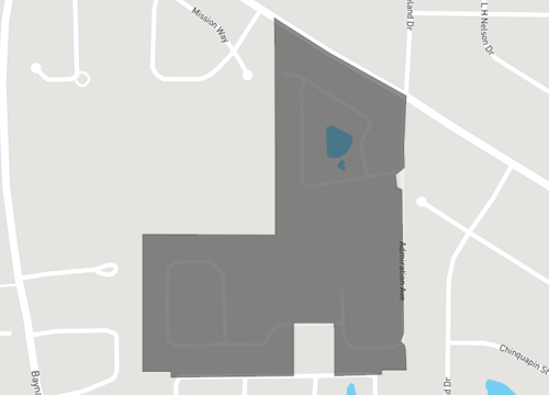 azalea square.png