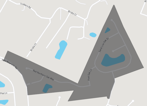 the meadows at new riverside.png