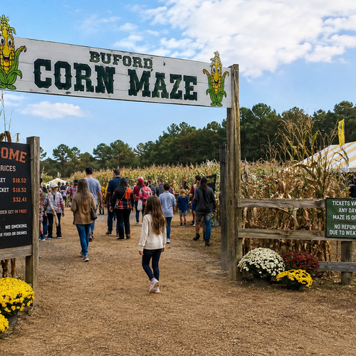 Buford Corn Maze 2026: Is It Closing? Season Dates, Tickets & What's Next