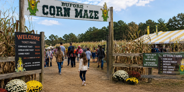 Buford Corn Maze 2026: Is It Closing? Season &hellip;