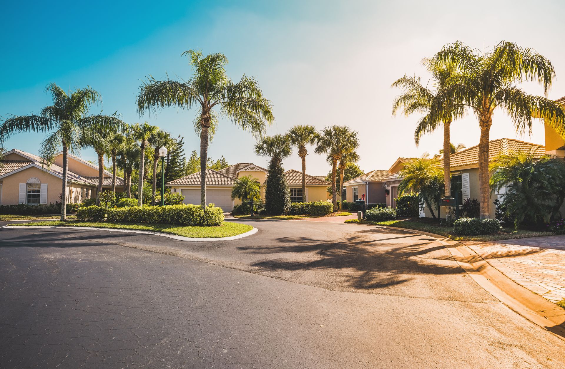 Typical gated community houses with palms, South Florida. Light effect applied (1)