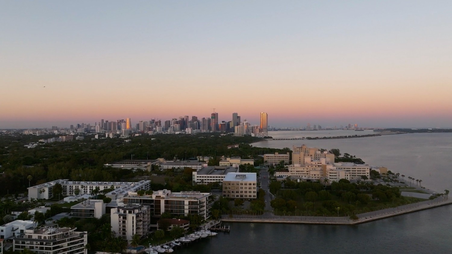 Homes for sale in Coconut Grove Miami FL, tree-canopied street, Labrada Realty