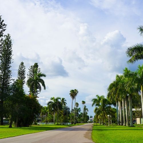 Real Estate in Pinecrest: What Buyers Should Know First