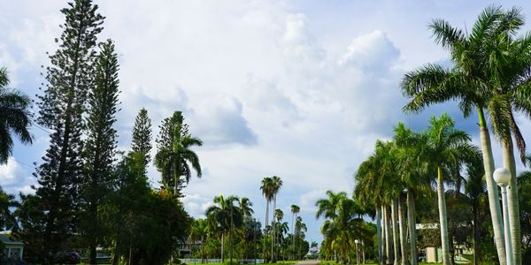 Real Estate in Pinecrest: What Buyers Should Know &hellip;