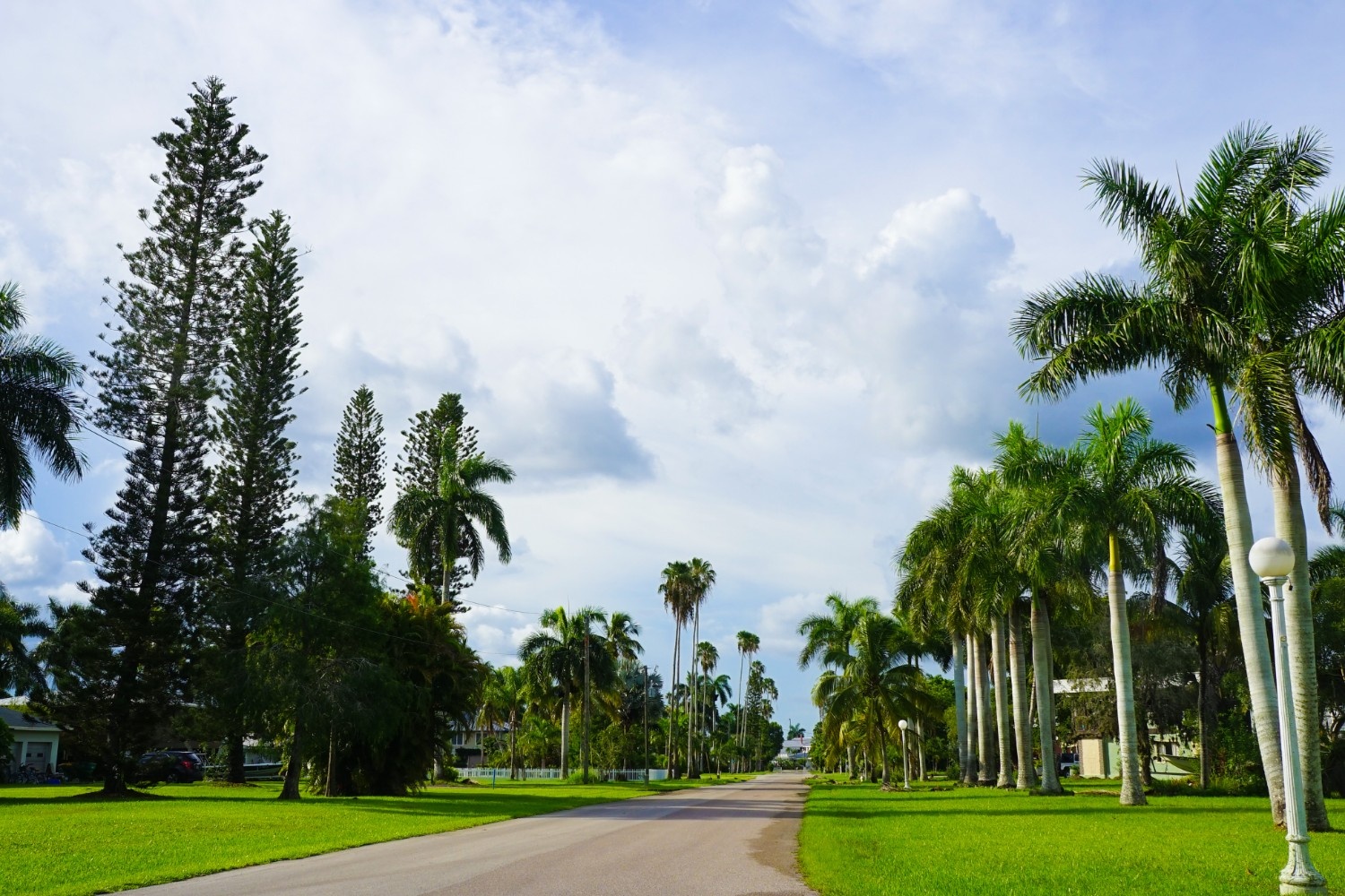 Real estate in Pinecrest, Miami, tree-lined streets, Labrada Realty