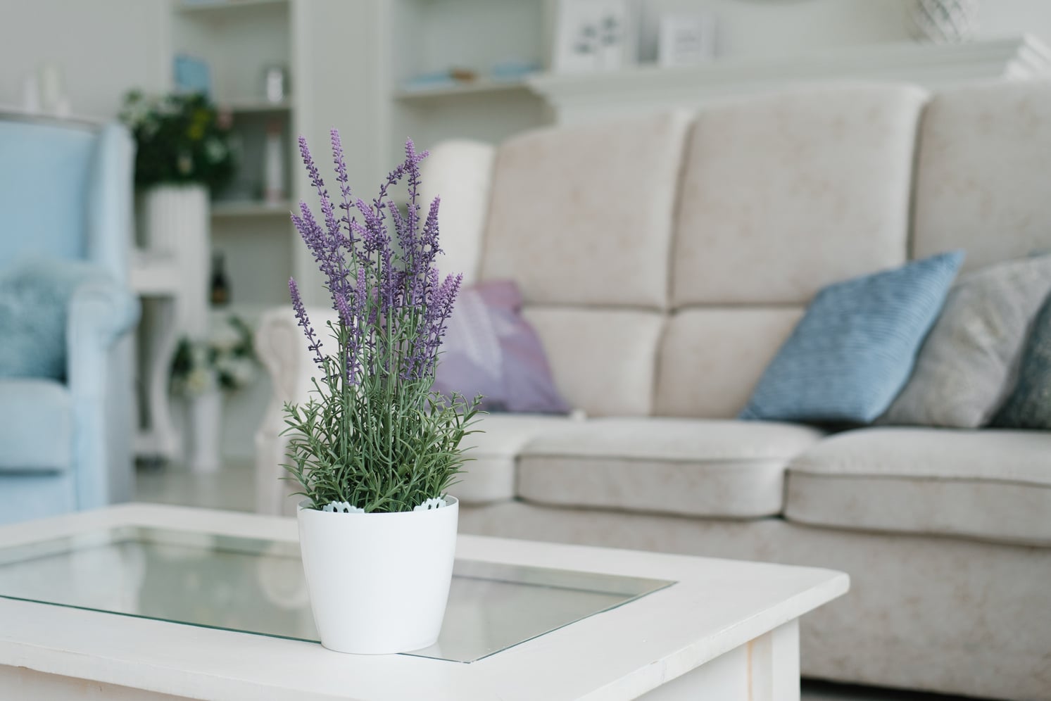 An,Artificial,Lavender,Flower,In,A,White,Pot,Stands,On