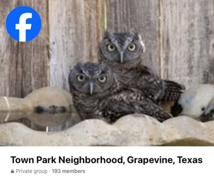 pw-tp facebook pages (website)