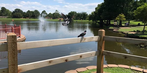 City of Hurst, TX