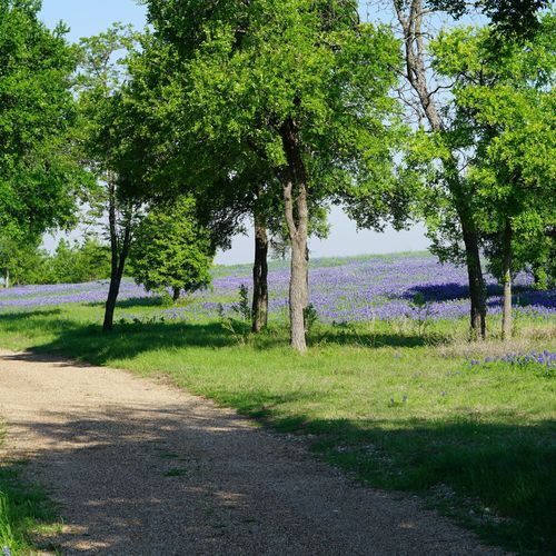 City of Forest Hill, TX