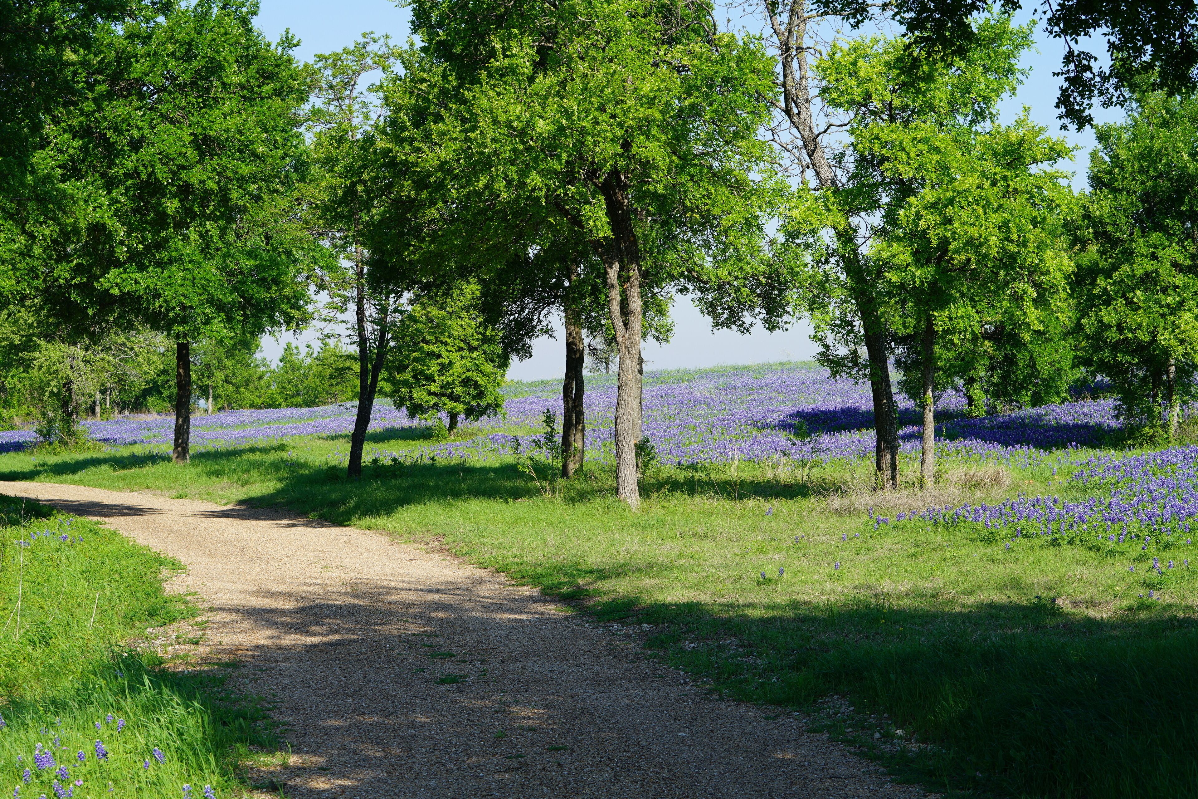 Forest Hill Texas