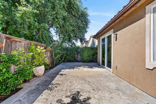 Backyard Revised 3