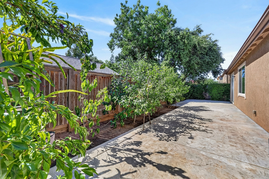 Backyard Revised 4