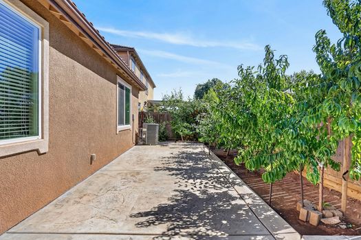 Backyard Revised